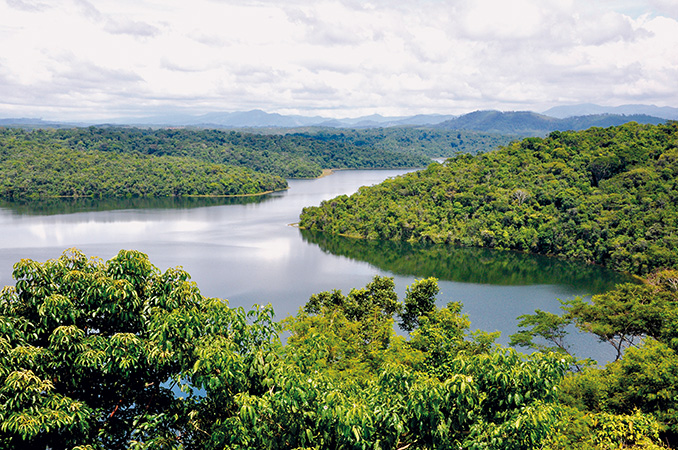 Uma das lagoas do Parque Estadual do Rio Doce