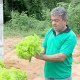 Produtor rural do Cocais que fornece alimentos da agricultura familiar para o município de Fabriciano