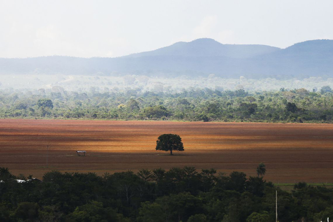 Alto Paraíso de Goiás (GO) - Área de cerrado desmatada para plantio no município de Alto Paraíso (Marcelo Camargo/Agência Brasil)/Marcelo Camargo/Agência Brasil