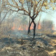 No primeiro vídeo foi abordado "Quem Combate o incêndio florestal" . Foto: Arquivo Agência Brasil