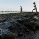 Um derramamento de óleo é visto na praia de Pontal do Coruripe, em Coruripe, estado de Alagoas, Brasil, 8 de outubro de 2019