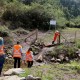 Experimento de restauração florestal em área sob influência de rejeitos da barragem de Fundão, trecho do rio Gualaxo do Norte, um dos principais afluentes do rio Doce, que abrange os municípios de Mariana, Ouro Preto e Barra Longa