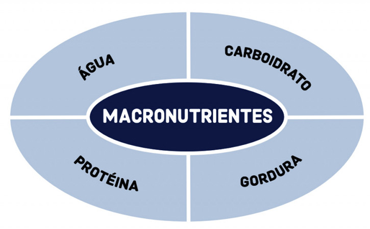 macronutrientes