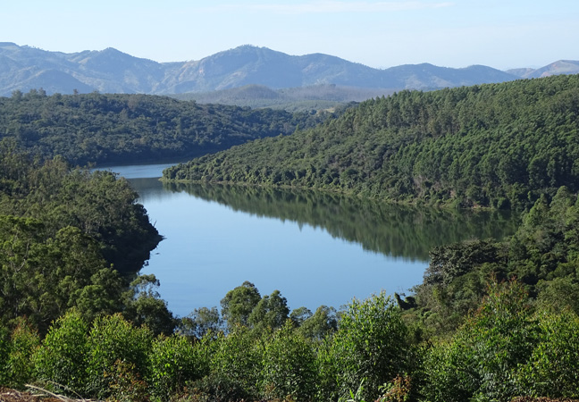 Áreas da CENIBRA são referência em prevenção de água, solo e biodiversidade