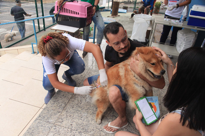 Devem ser vacinados cães e gatos a partir de três meses